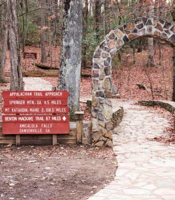 Appalachian Trail Approach Trail at Amicalola Falls State Park